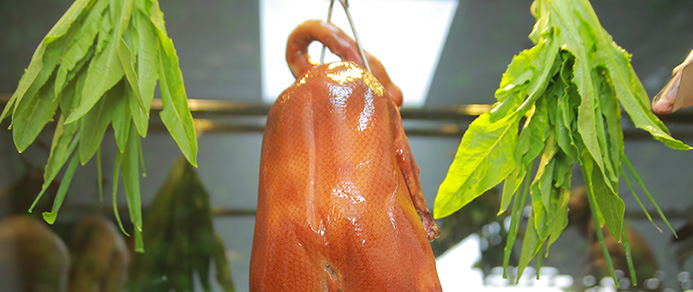 米兰体育app官网下载